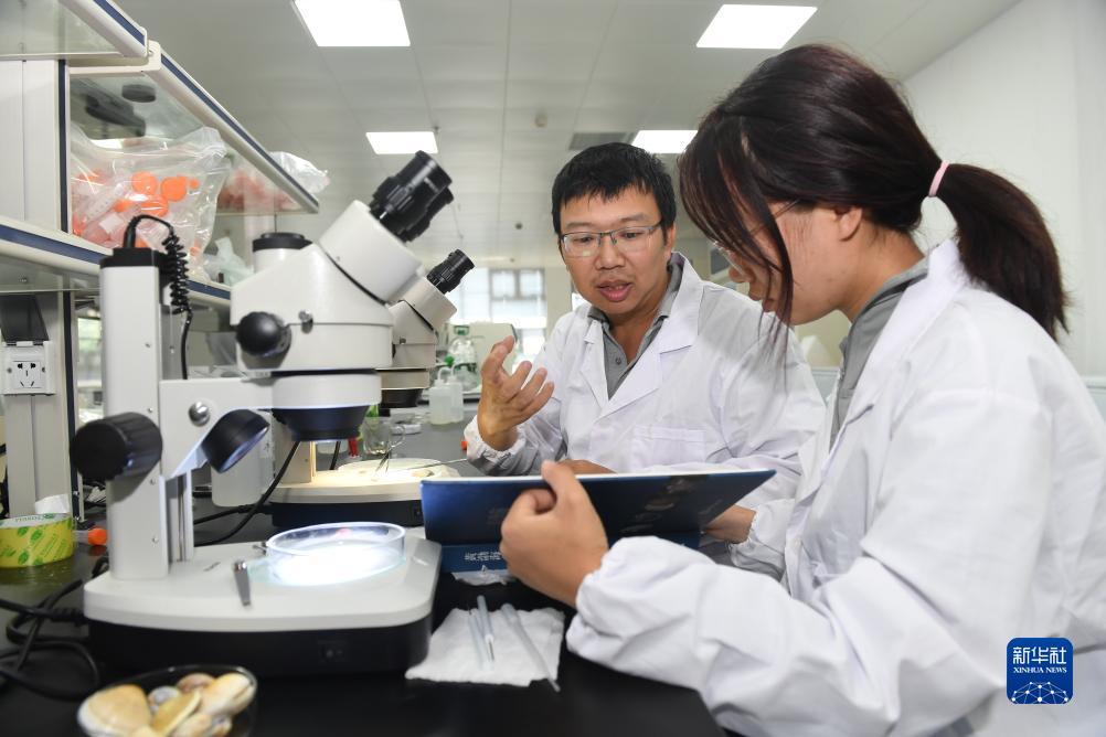 连环夺宝免费赢现金